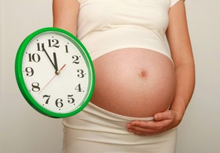 Сколько длится беременность
